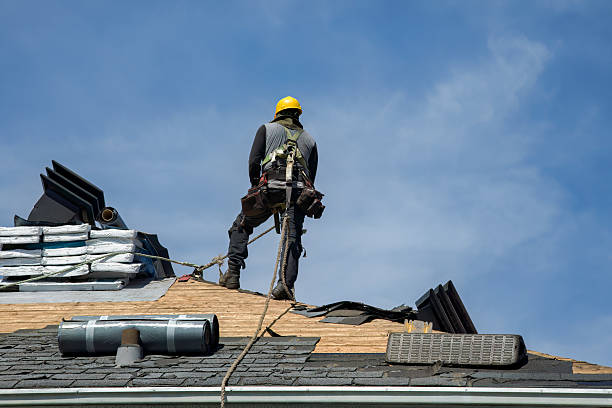 Professional Roofing technician working in Umatilla, FL